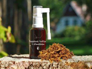 Propolisová tinktura. Malý zázrak z úlu! 🐝 Věděli jste, že tahle tmavá lahvička vzniká přímo u nás na farmě, kde každý...